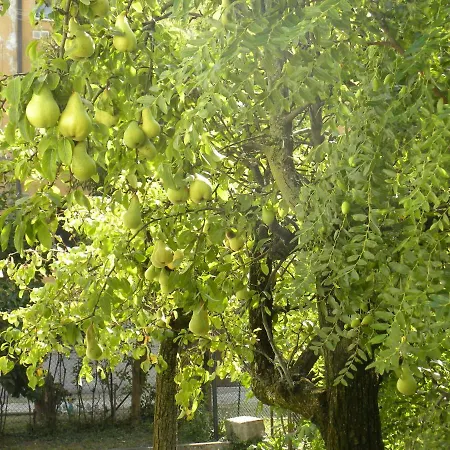 Beautiful Venice * Mestre