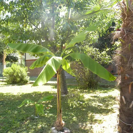 Beautiful Venice 梅斯特雷