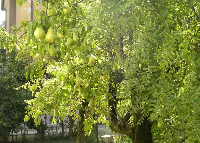 Beautiful Venice * Mestre