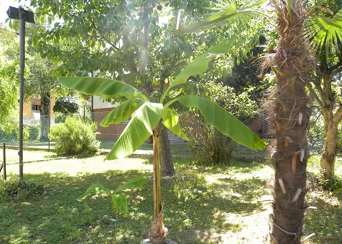 Beautiful Venice Mestre